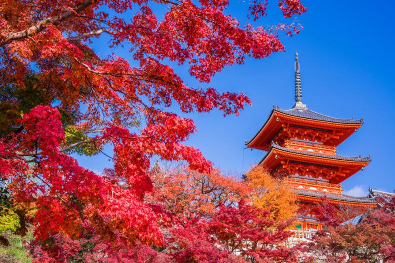 Hébergement de vacances 中川西 地下鉄今里駅一戸建 Samurai House Imazato 難波直通 最大7名 *