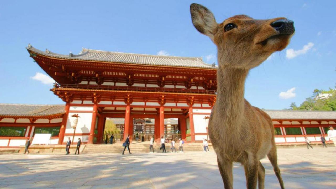 Hébergement de vacances 中川西 地下鉄今里駅一戸建 Samurai House Imazato 難波直通 最大7名